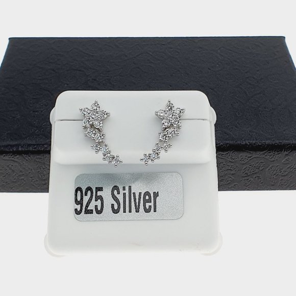 925 sterling silver luxury CZ earrings for women/girls, Best for RJUS2231 - Picture 8 of 10